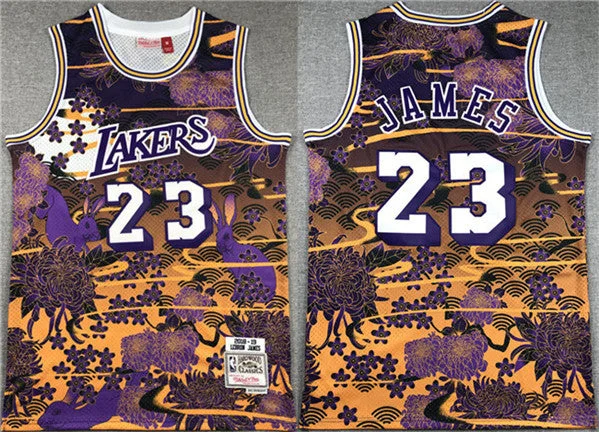 Basketball Jersey Eye-Catching Design-Men's Los Angeles Lakers #23 LeBron James Purple/Yellow Throwback basketball Basketball Jersey